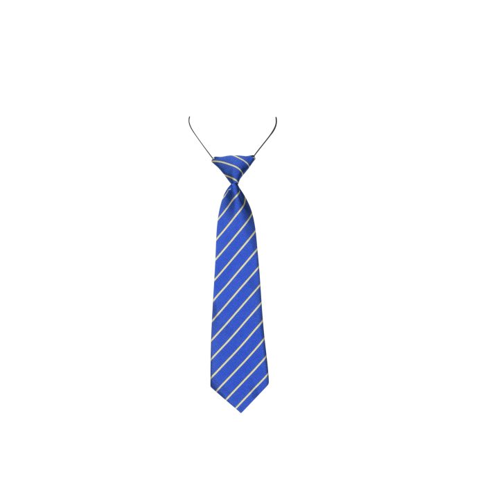 Our Lady of Good Counsel School Tie – Excel Uniforms